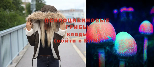 молекула духа Богородицк