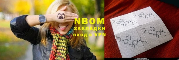 ГАЛЛЮЦИНОГЕННЫЕ ГРИБЫ Богданович