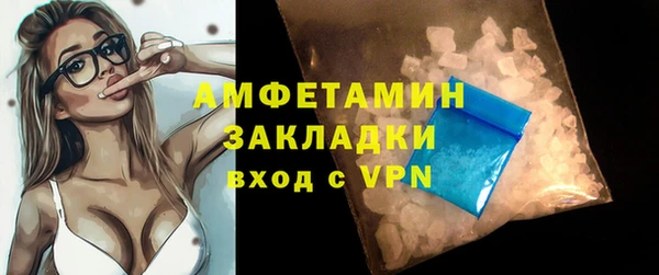 ГАЛЛЮЦИНОГЕННЫЕ ГРИБЫ Богданович