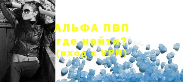 ГАЛЛЮЦИНОГЕННЫЕ ГРИБЫ Богданович