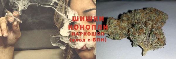 молекула духа Богородицк