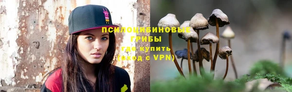 альфа пвп Бородино
