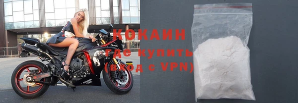 молекула духа Богородицк