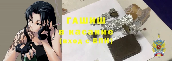 молекула духа Богородицк