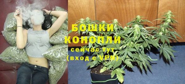 прущая мука Богородск