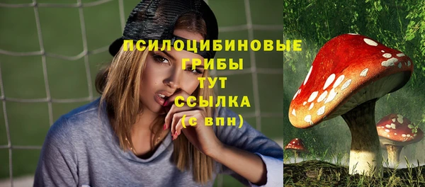 прущая мука Богородск