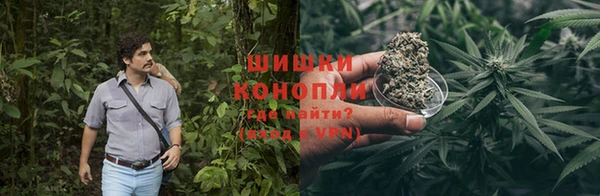 ГАЛЛЮЦИНОГЕННЫЕ ГРИБЫ Богданович