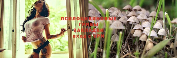 ГАЛЛЮЦИНОГЕННЫЕ ГРИБЫ Богданович