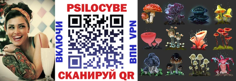 Псилоцибиновые грибы GOLDEN TEACHER Шумерля